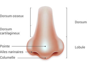 Injection d’acide hyaluronique pour embellir votre nez sans chirurgie