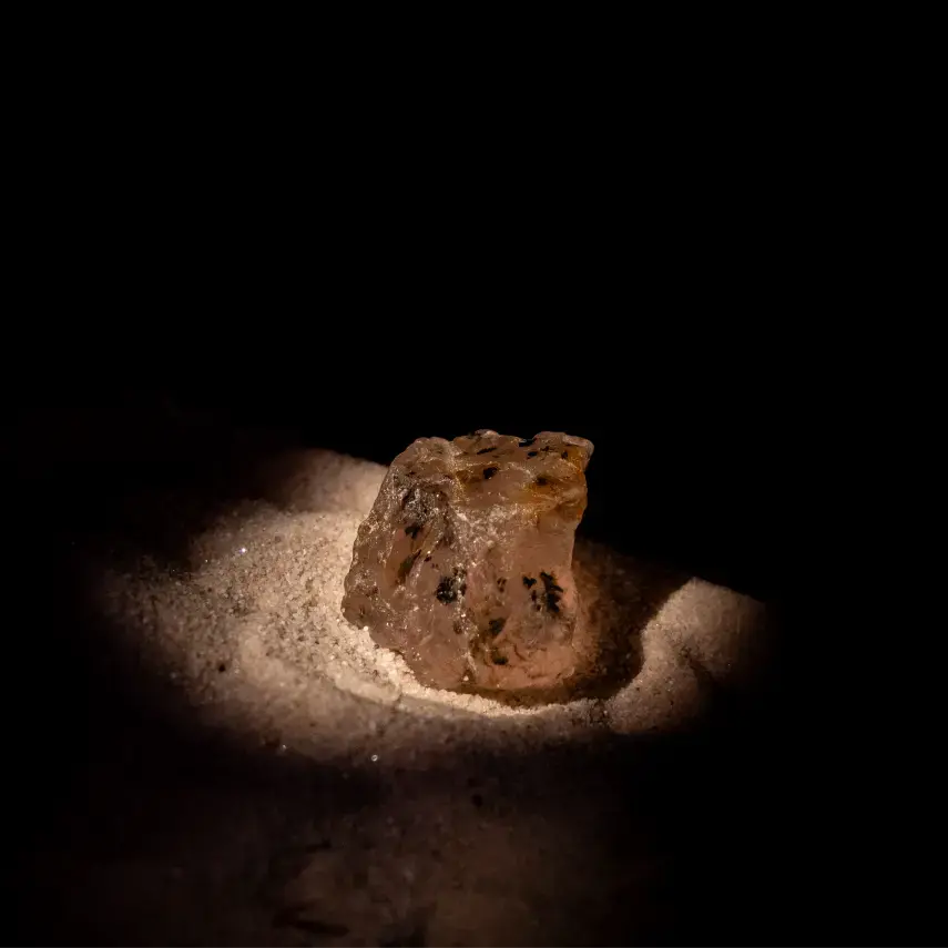 NADINE LACROIX-38_edited.webp