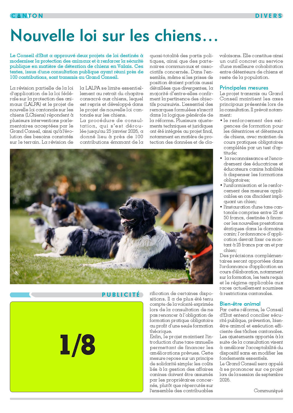 formats publicitaires des journaux VB Editions