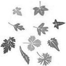 illustration Paysagiste du Rhone à Brignais