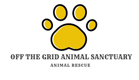 Off The Grid Animal Sanctuary (11).png