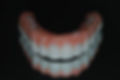 Picture13.jpg