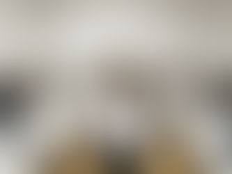 Els dentistes de Balears perfeccionen els seus coneixements sobre odontología restauradora