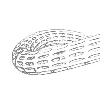BENTorus Bracelet Sketch Silver.jpg