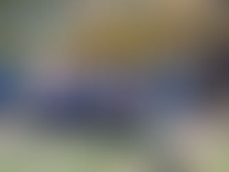 СУ "Стоян Заимов" реализира проект "Всички заедно, за НЕзависимости"