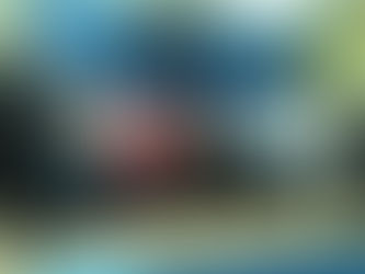 Коледен поздрав от СУ "Стоян Заимов" - Плевен