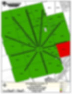 Permian Working Map.jpg