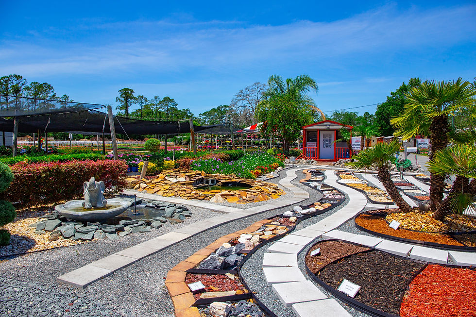 Top Nurseries in Jacksonville Holiday's Nursery & Landscaping