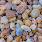 White River 1 inch.jpg