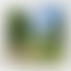 ブランチ大津京出店♪