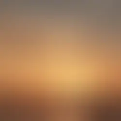 朝起きる時間が大切という話