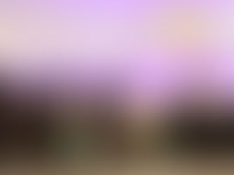 CALM x Swinburne Leadership Talk