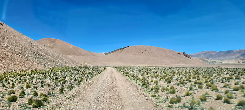Chilecito Laguna Brava