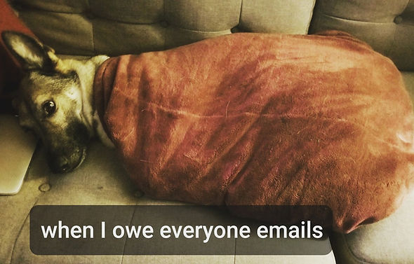 dog wrapped up like a papusa with text saying "when I owe everyone emails"