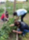 Garden Work.jpeg