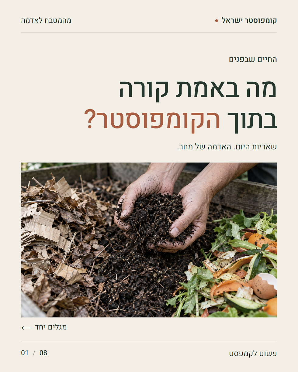 מה באמת קורה בתוך הקומפוסטר?
