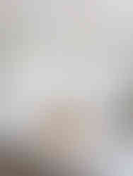 Danielle Rose Design Co._Interior Design_New York
