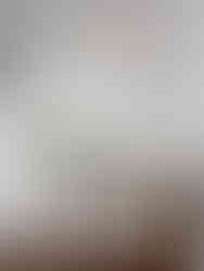 Danielle Rose Design Co._Interior Design_New York