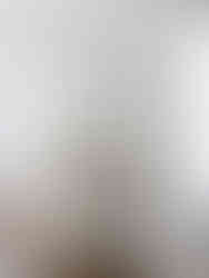 Danielle Rose Design Co._Interior Design_New York