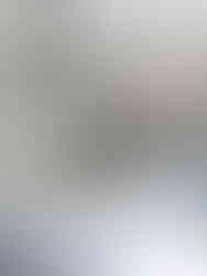 Danielle Rose Design Co._Interior Design_New York