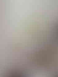 Domestic Studio_Interior Design_Upper Midwest