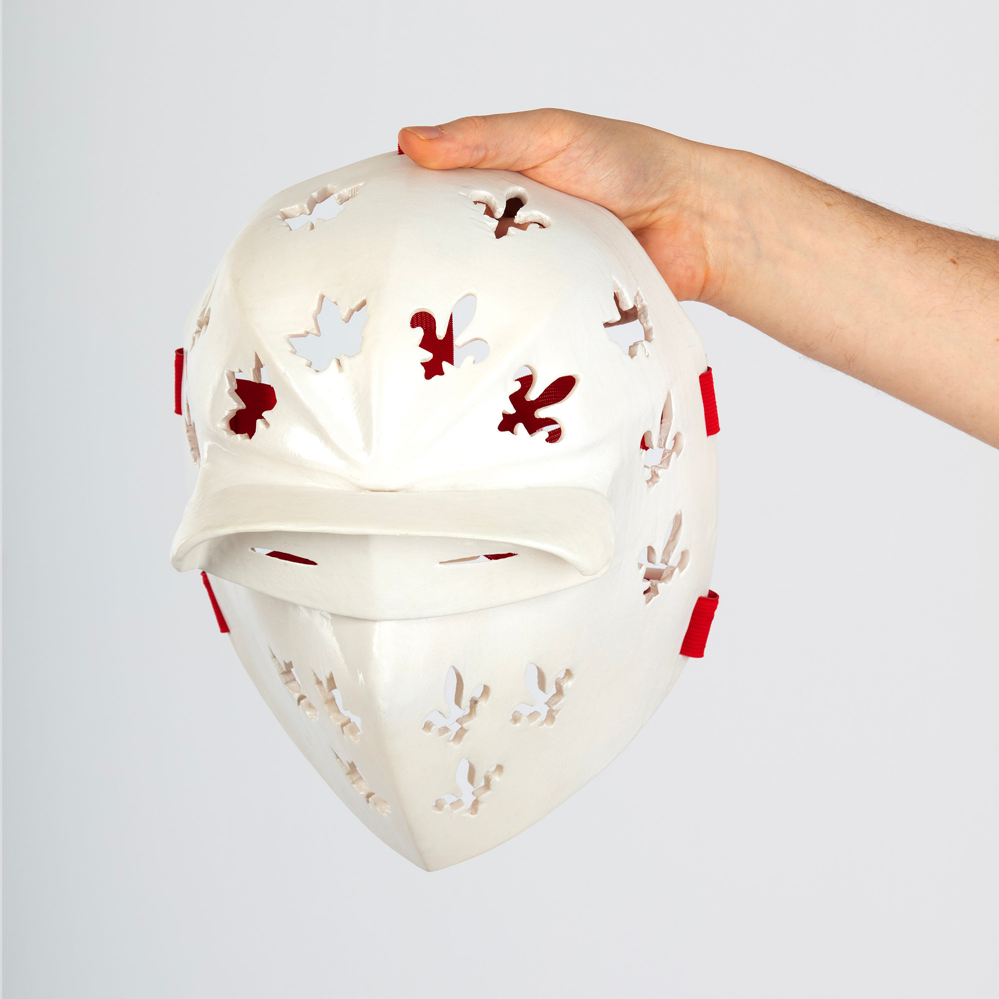 Palissy Nationalist Hockey Goaltender Mask