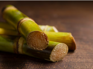 Sustainable Sugarcane Far