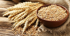 
Grain Production