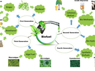 The Role of ERP in Enhancing Compliance and Sustainability in Biofuels