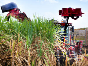 Trends in Sugarcane Automation: A Game Changer for Operational Efficiency
