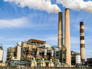 Global Sugar Market Analysis: What It Means for Indian Producers