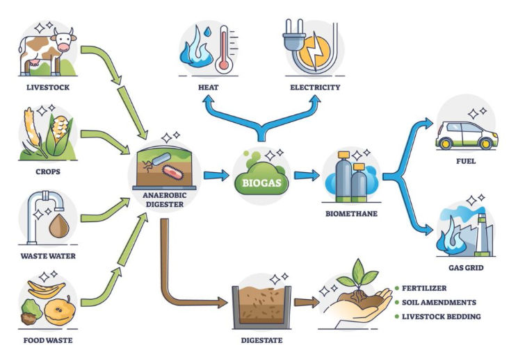 Biogas