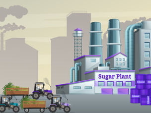 Data-Driven Decision Making in Sugar Mills: Why It’s the Future