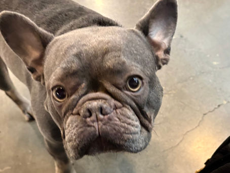 #40DaysofGoodShit -- Day 24