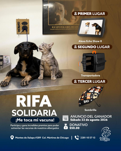 ACTIVIDADES DE AMIGOS DE LOS ANIMALES PARA JULIO 2026 - Adopciones en Xalapa