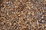 Biomasse