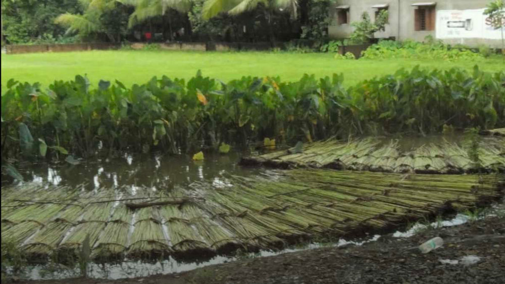 What is Jute and How Jute Sending To Process?