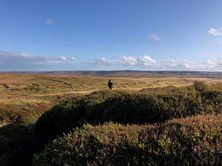 Girl Enjoying View on The Crashed Plane Hike