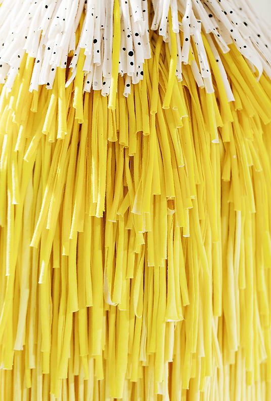 fringe_bomb_800_6.jpg