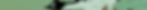 Thump_Natur.jpg
