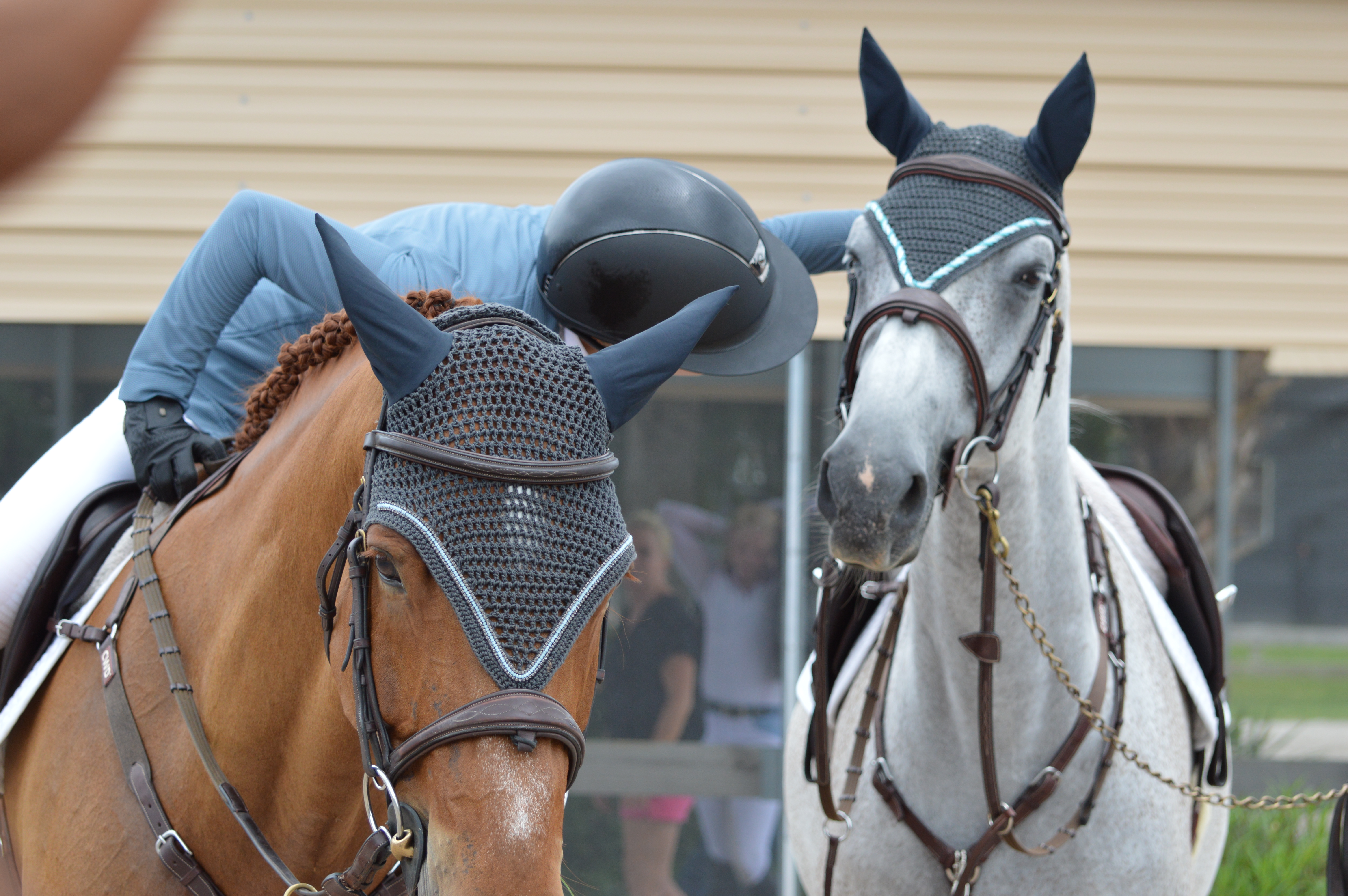 Home Abbey S Equestrian Closet