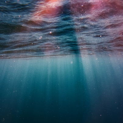 Creatures of the Sea