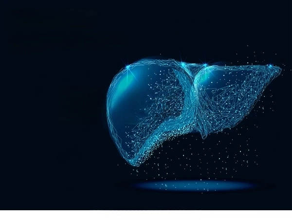 liver_3d-transformed.webp