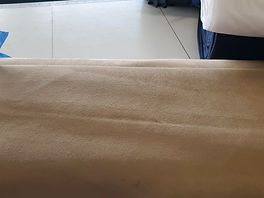 suede beige.jpg