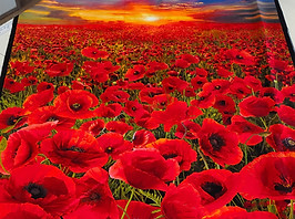 coquelicot panneau.jpg