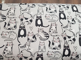 chats noir et gris.jpg