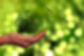 tree-5725540_1920.jpg