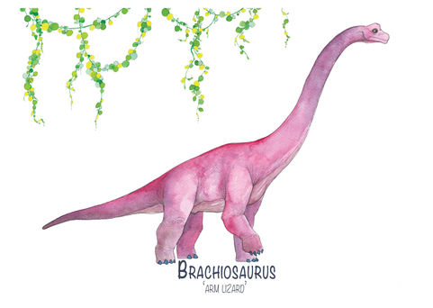 Brachiosaurus Dinosaur sauropod red plants paleoart watercolour