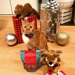 Indy and Presents