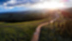 DJI_0827_edited.jpg